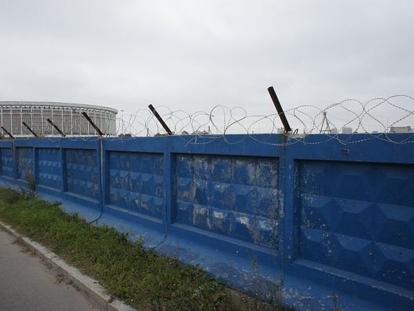 Михаил Огнев/«Фонтанка.ру»/архив